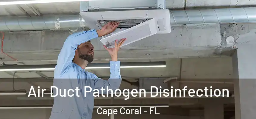  Air Duct Pathogen Disinfection Cape Coral - FL