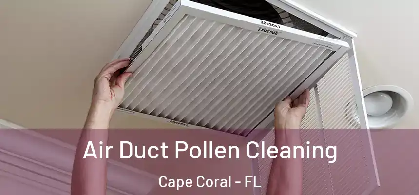 Air Duct Pollen Cleaning Cape Coral - FL