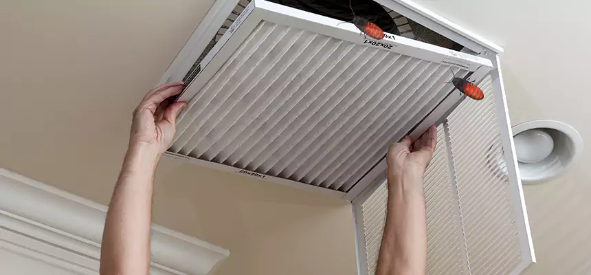 Preventive Cockroach-Proofing for Ducts in Cape Coral
