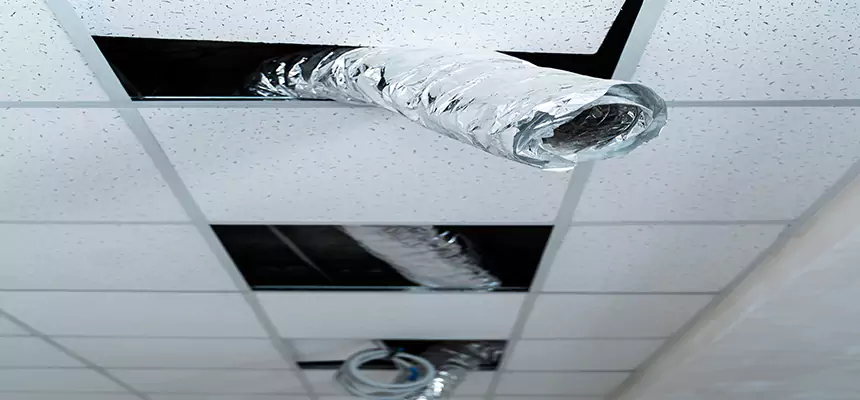 Our Air Duct Pet Hair Removal Services in Cape Coral, FL