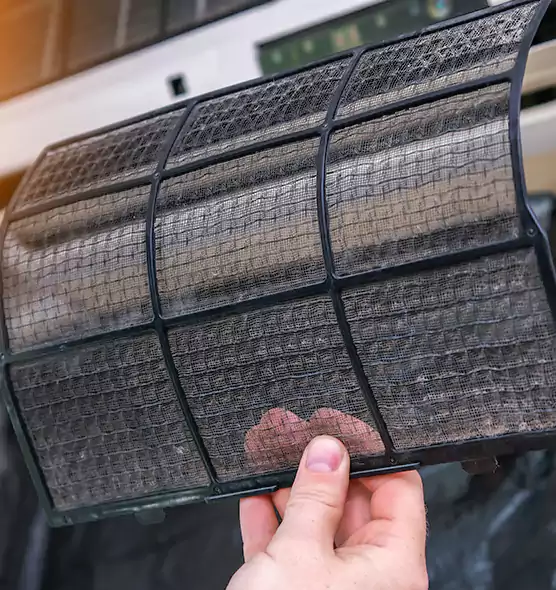 About Pet Dander Duct Cleaning in Cape Coral, FL